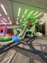 IMG 1488 1744725390 Dino Combo
